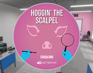 Oculus Quest游戏《VR Pig Dissection: Hoggin’ the Scalpel》解剖家猪