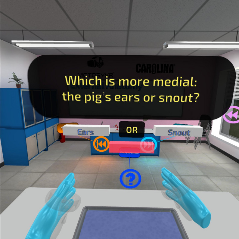 Oculus Quest游戏《VR Pig Dissection: Hoggin’ the Scalpel》解剖家猪 default-img.jpg