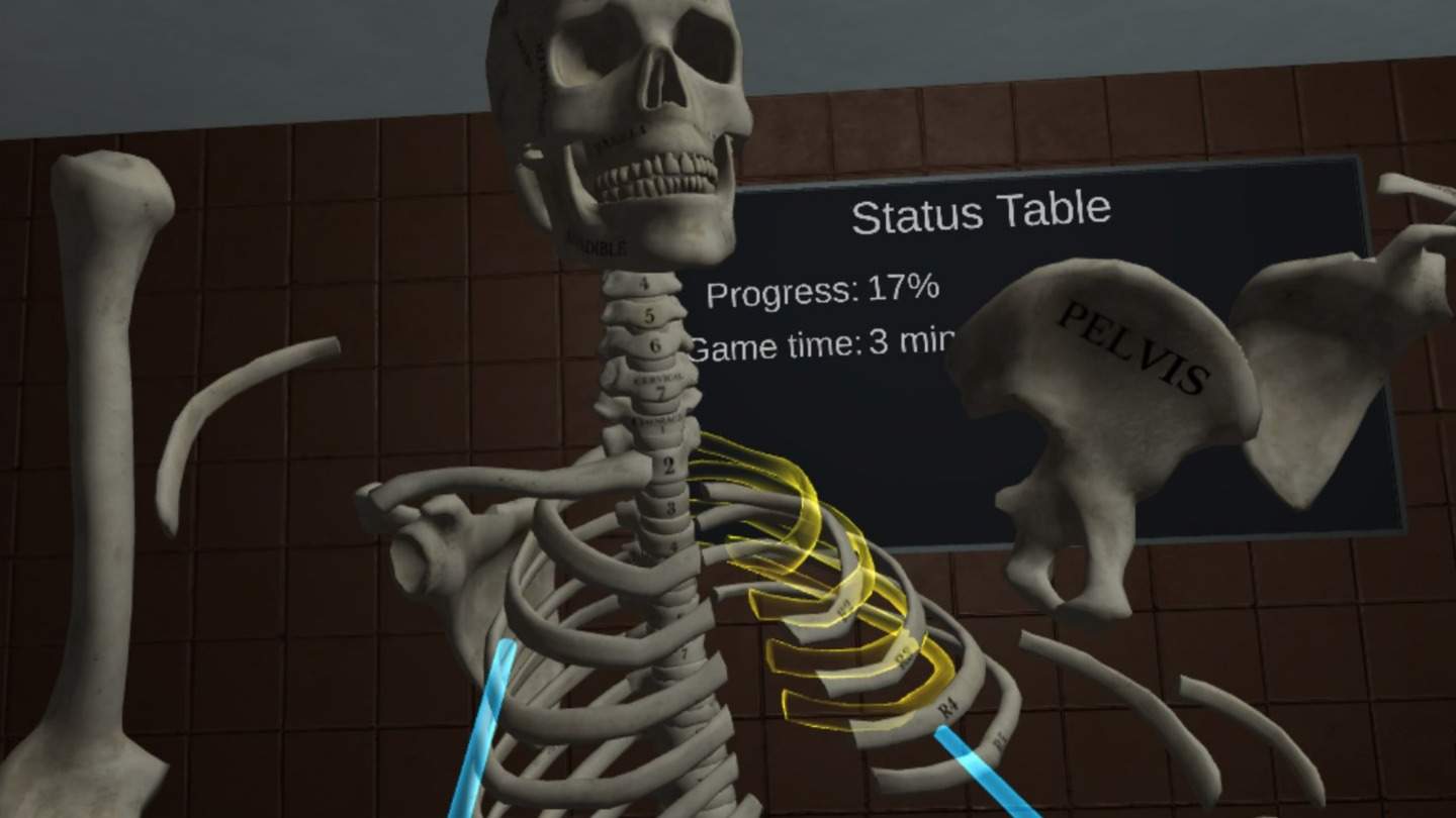 Oculus Quest 游戏《人体解剖学》Human Anatomy Puzzle default-img.jpg