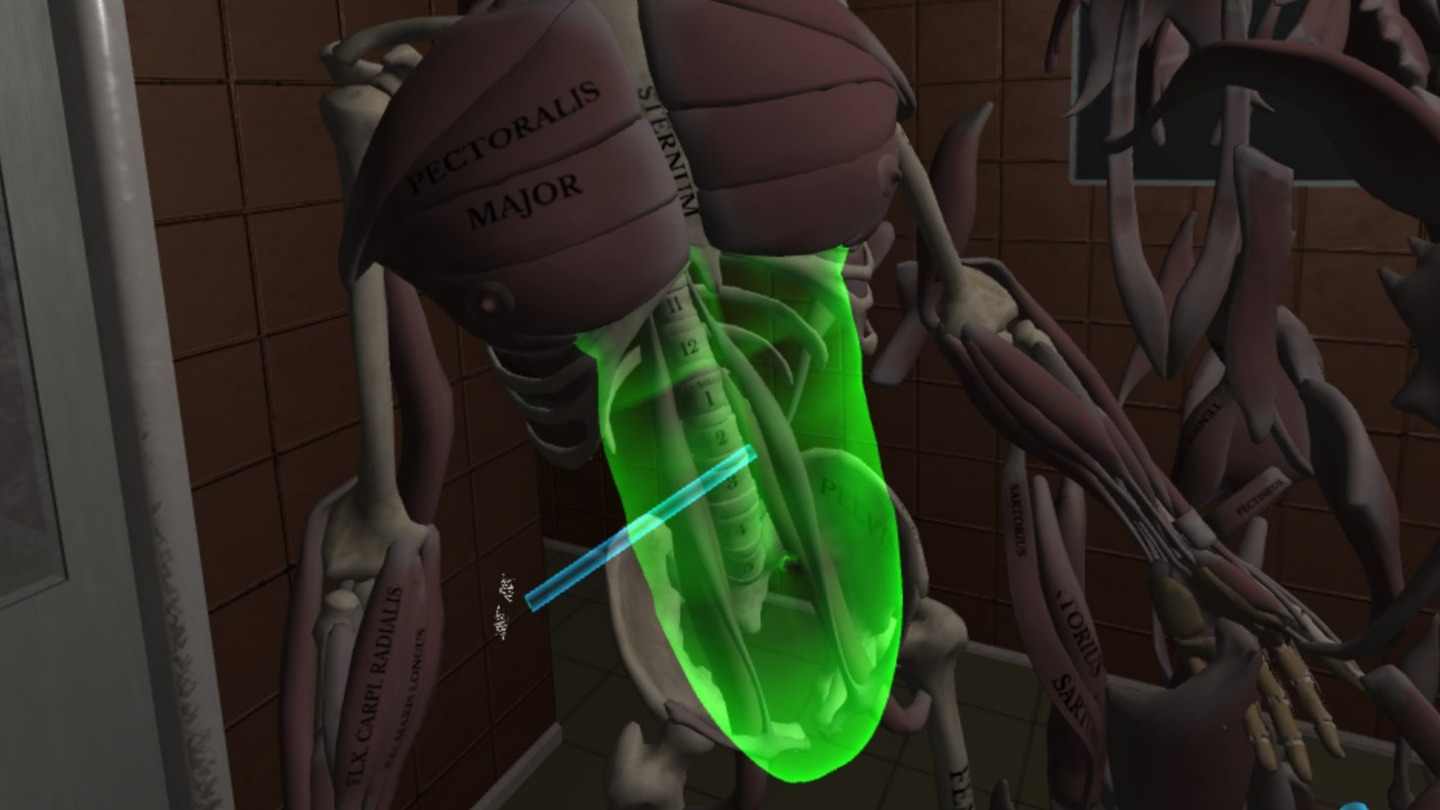 Oculus Quest 游戏《人体解剖学》Human Anatomy Puzzle default-img.jpg