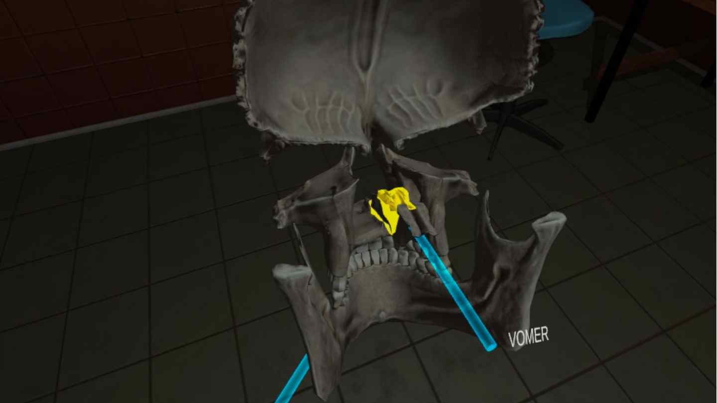 Oculus Quest 游戏《人体解剖学》Human Anatomy Puzzle default-img.jpg