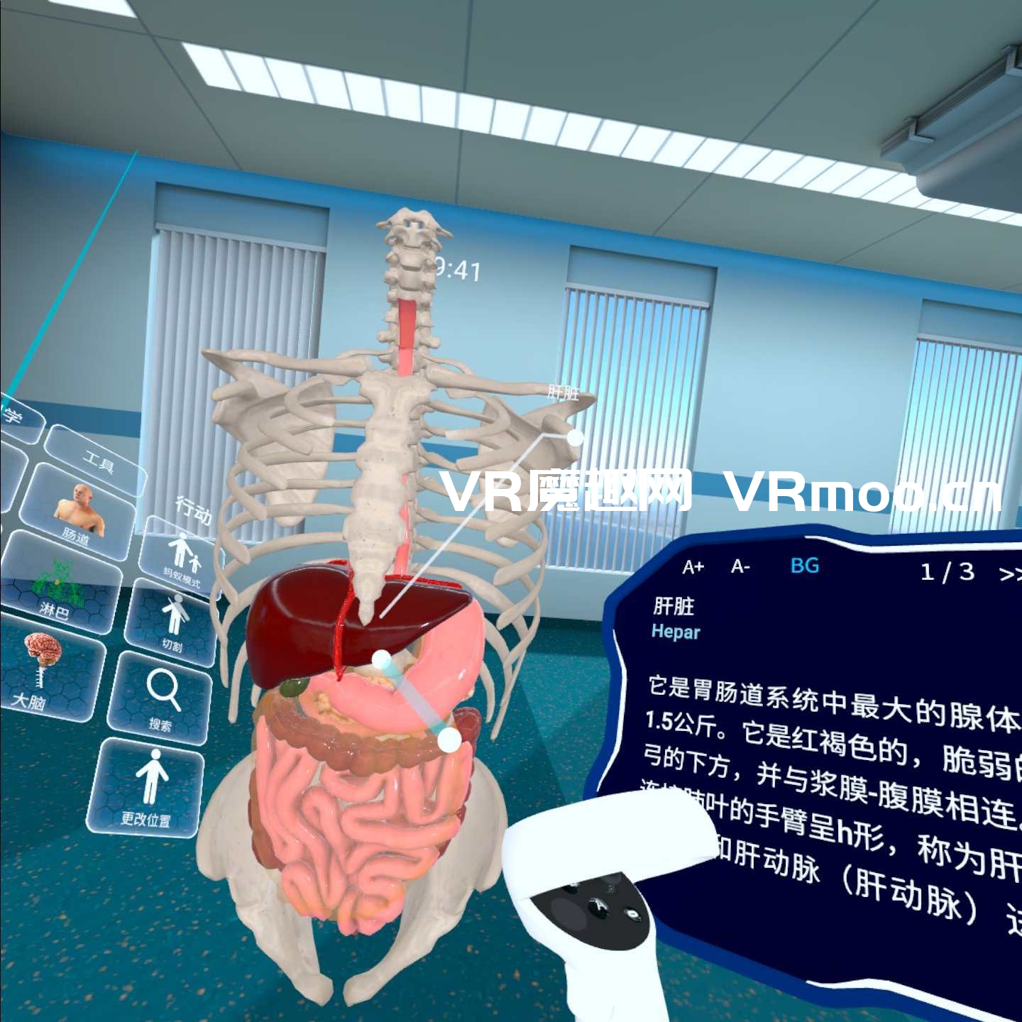 Oculus Quest 游戏《高中解剖学汉化中文版》High School Anatomy for Quest default-img.jpg