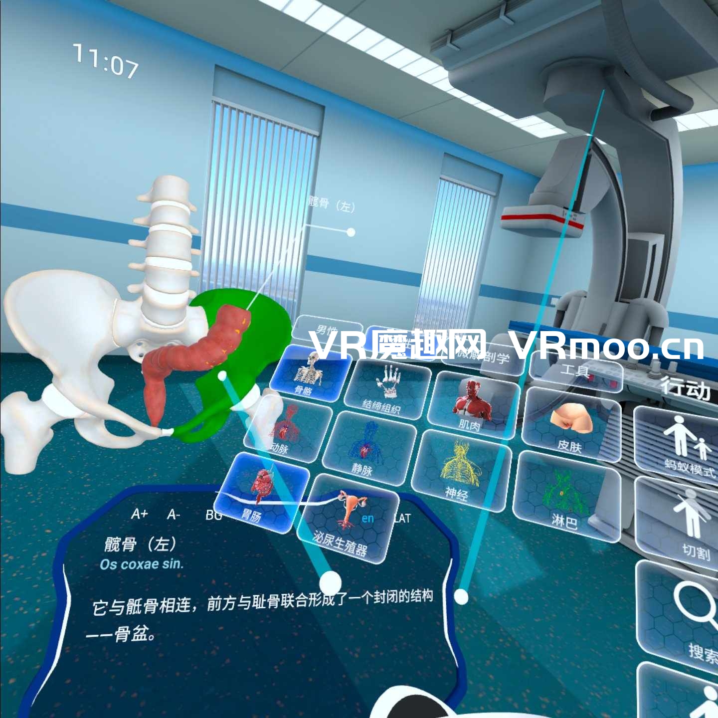 Oculus Quest 游戏《高中解剖学汉化中文版》High School Anatomy for Quest default-img.jpg