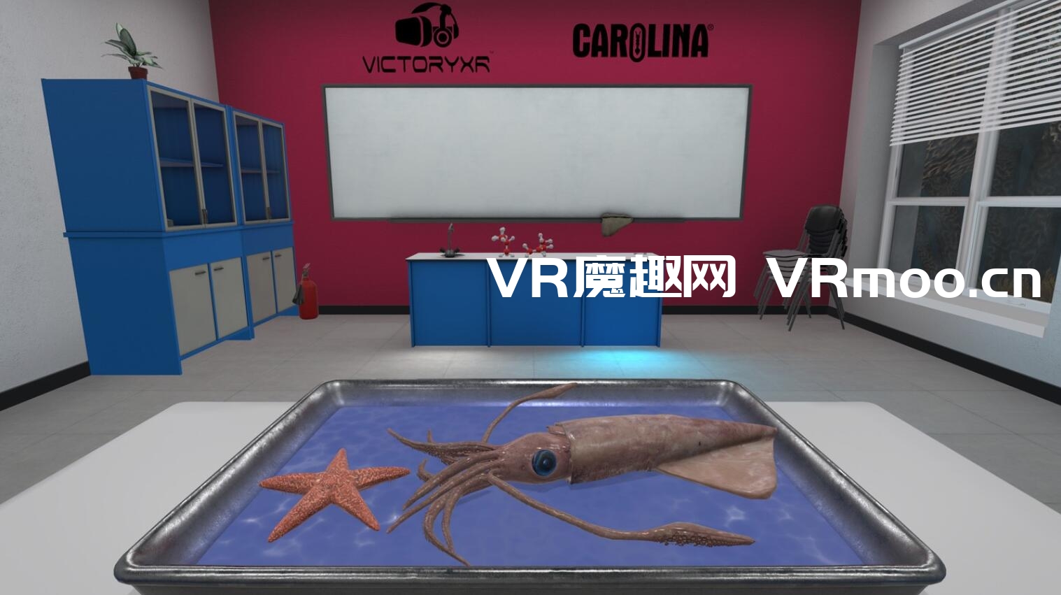 Oculus Quest 游戏《Dissection Simulator: Invertebrate Edition》解剖模拟器:无脊椎动物版 default-img.jpg