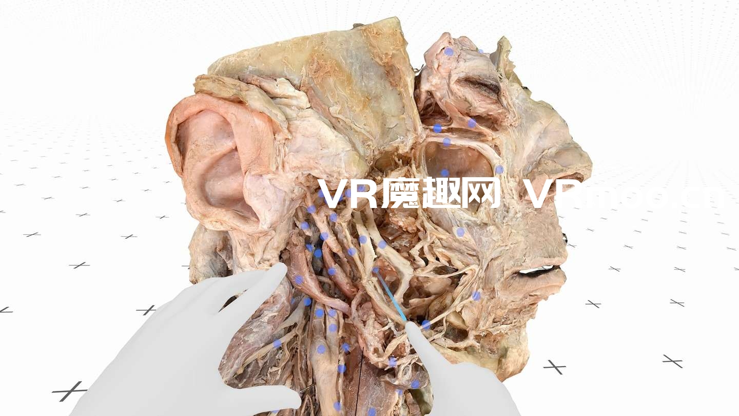 Oculus Quest 游戏《医疗全息甲板解剖大师 XR》Medicalholodeck is Dissection Master XR default-img.jpg