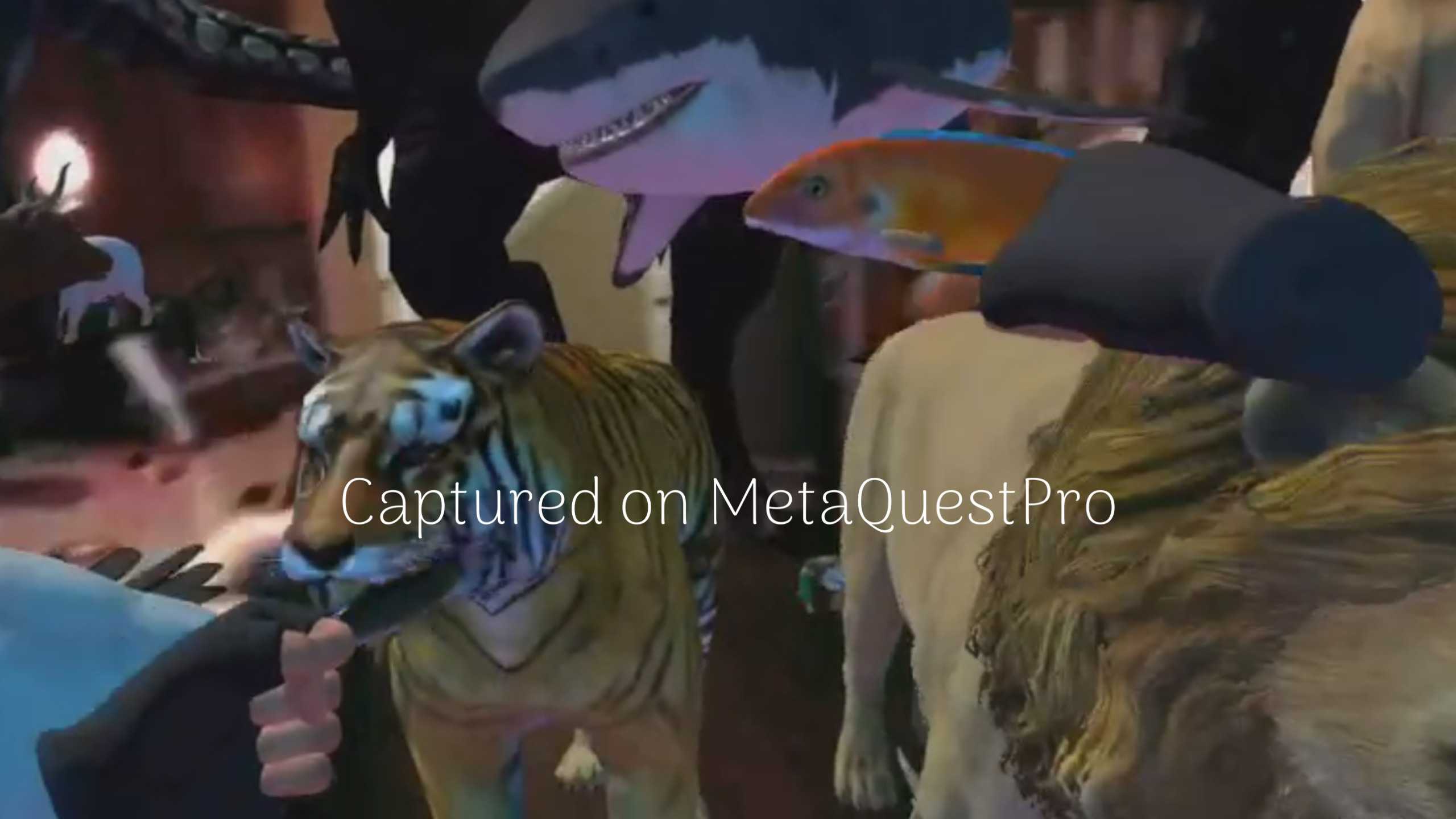 Oculus Quest 游戏《ZOSU 动物园之家通行证》ZOSU Zoo Home Passthrough default-img.jpg