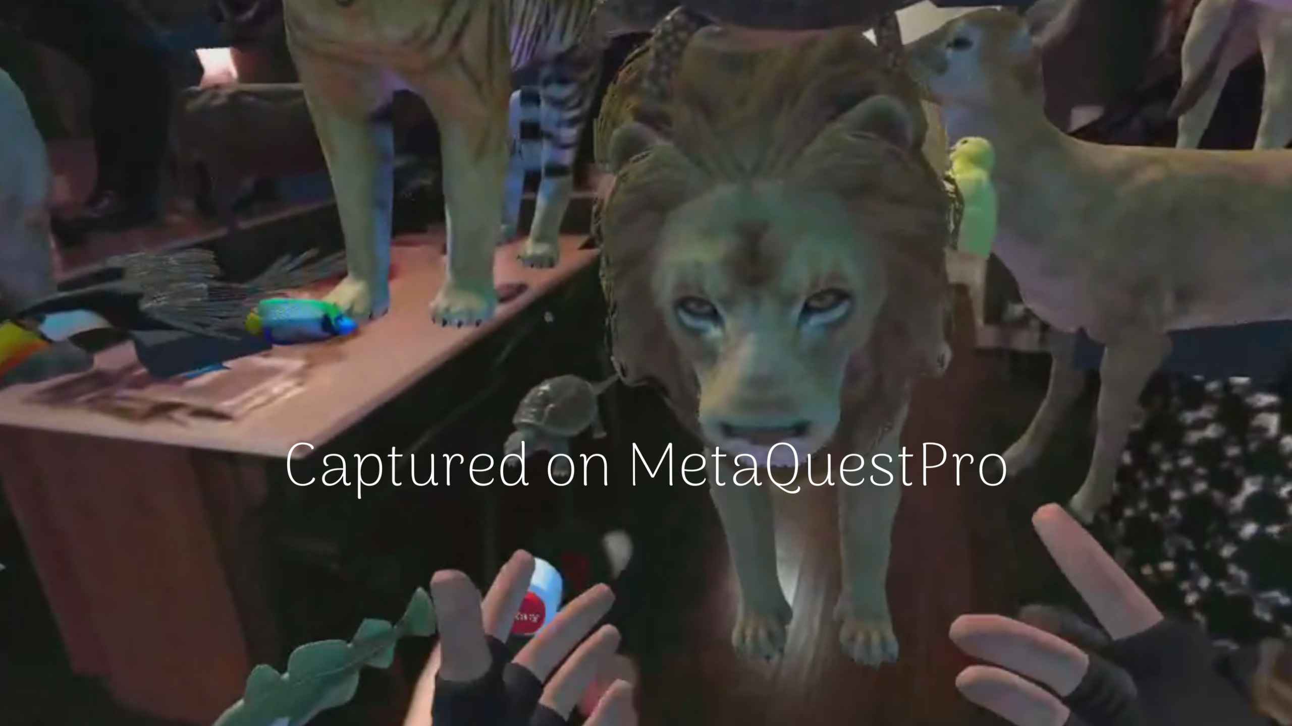 Oculus Quest 游戏《ZOSU 动物园之家通行证》ZOSU Zoo Home Passthrough default-img.jpg