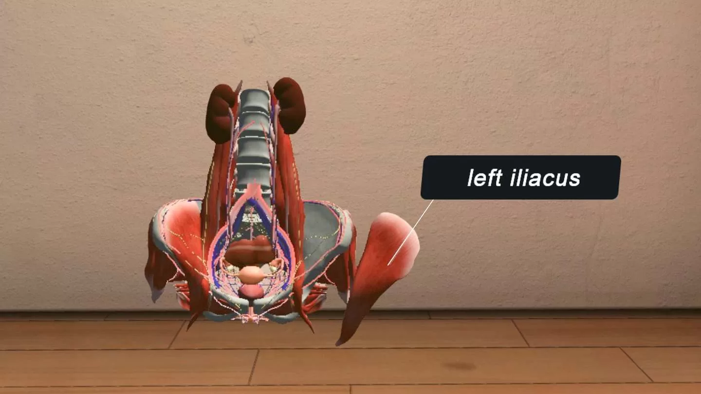 Oculus Quest 游戏《生物数字人》BioDigital Human default-img.jpg