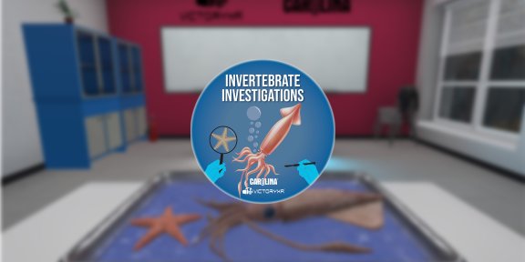 Oculus Quest游戏《VR Squid and Seastar Dissection》解剖无脊椎动物