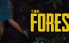 森林（The Forest）