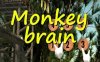 Oculus Quest 游戏《MonkeybrainVR》猴脑VR