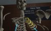Oculus Quest 游戏《人体解剖学》Human Anatomy Puzzle