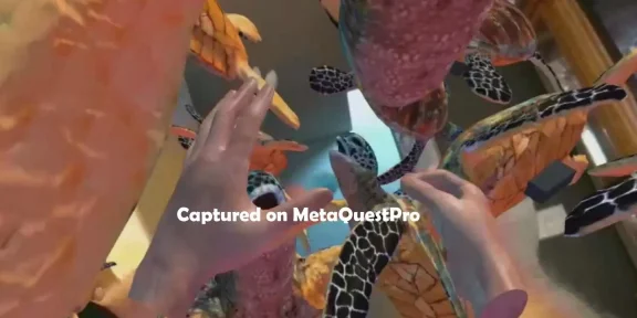 Oculus Quest 游戏《动物园+海洋手部追踪ZOSU通行证》Zoo + Ocean Handtracking ZOSU Passthrough