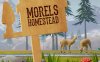 Oculus Quest 游戏《农场家园》Morels: Homestead
