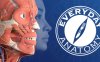 日常解剖 VR (Everyday Anatomy VR)