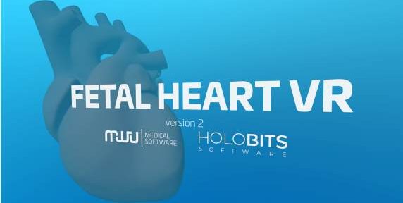 Oculus Quest 游戏《心脏病医学VR》Fetal Heart VR
