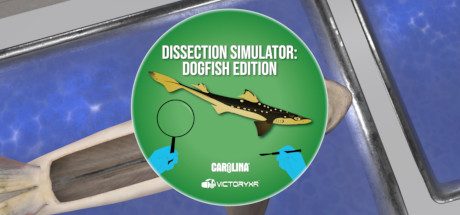 Oculus Quest 游戏《Dissection Simulator: Shark Edition VR》解剖模拟器：鲨鱼版