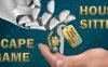 保姆逃脱游戏 (House Sitter Escape Game)